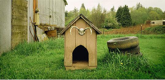 《风之岛》2025年登陆多平台 开放世界探索冒险